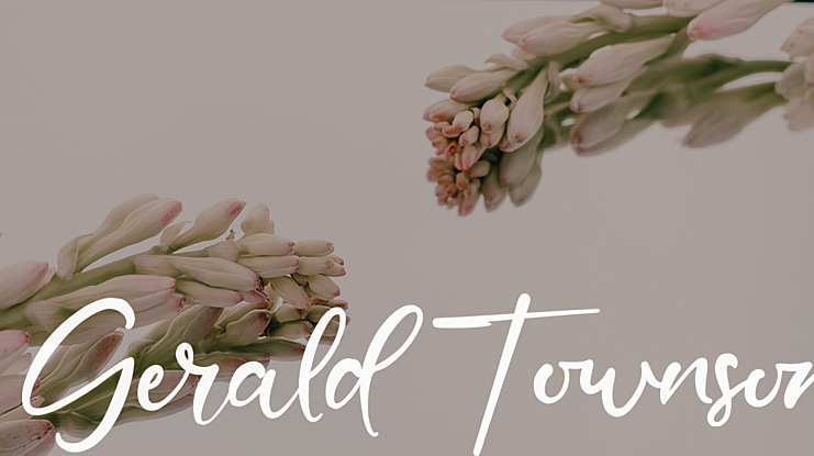 Gerald Townson Font