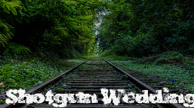 Shotgun Wedding Font