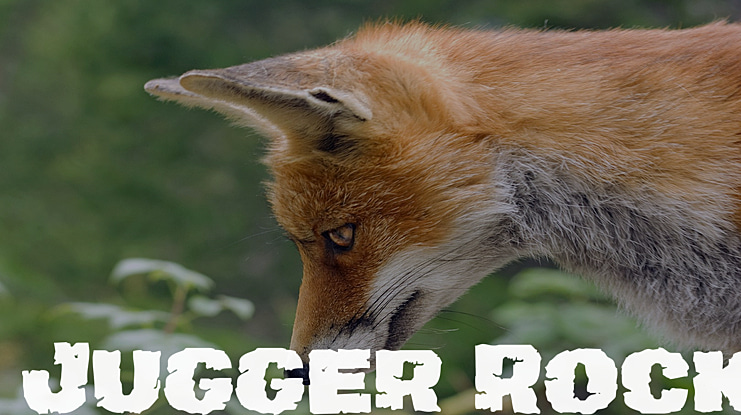 Jugger Rock Font Family