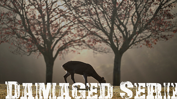 Damaged Serif Font