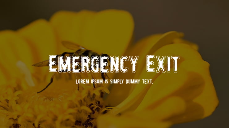 Emergency Exit Font