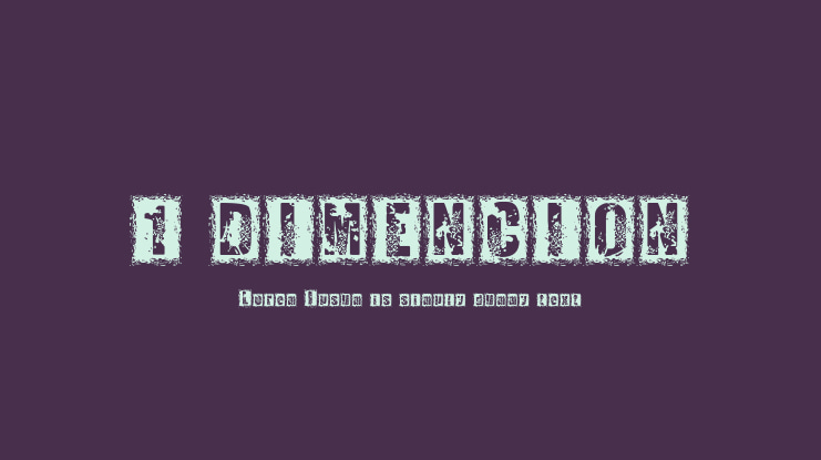 1 DIMENCION Font