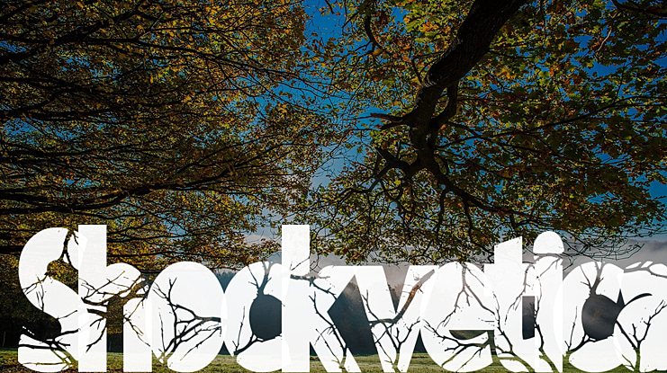 Shockvetica Font