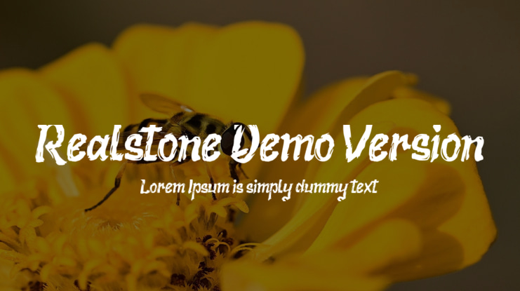 Realstone Demo Version Font
