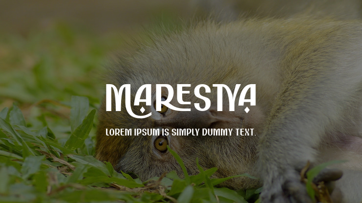 Marestya Font