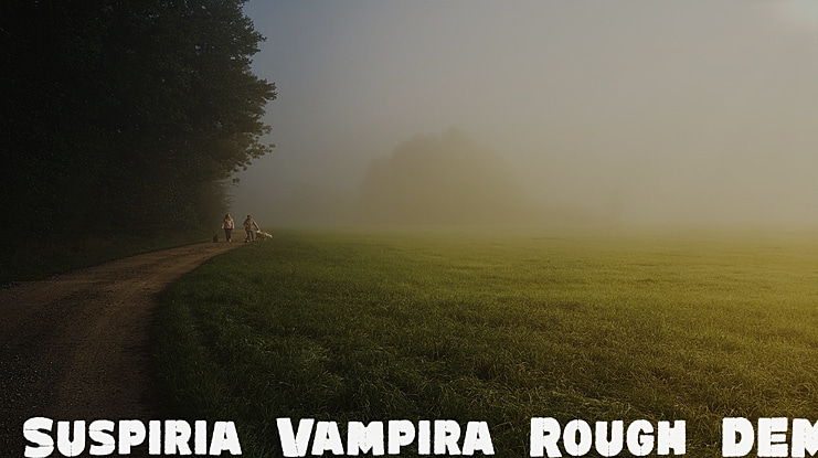 Suspiria Vampira Rough DEMO Font