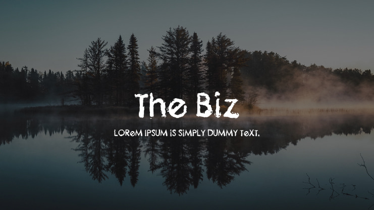 The Biz Font
