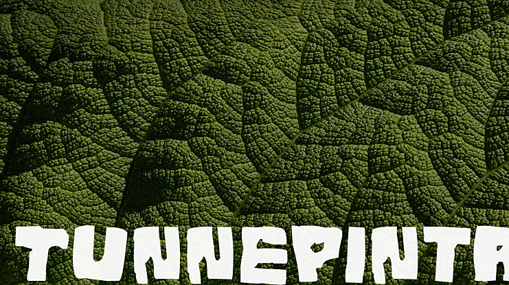 Tunnepinta Font