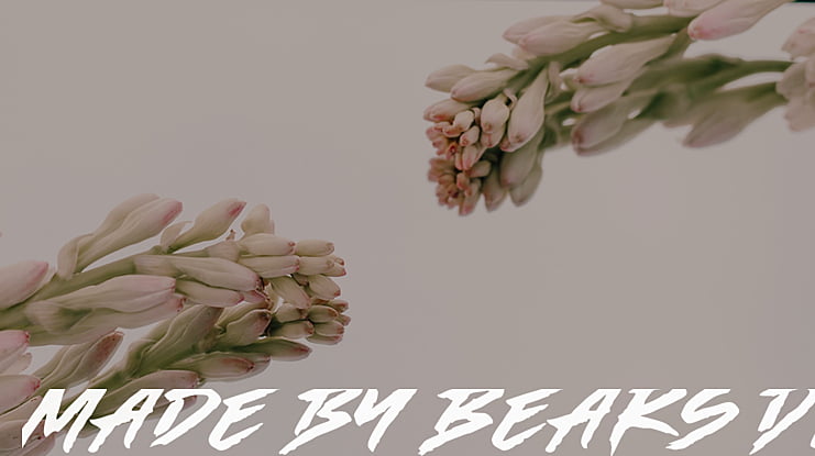 Made by Bears DEMO Font