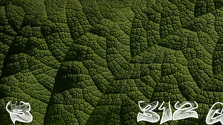 Smasher 312 Custom Font