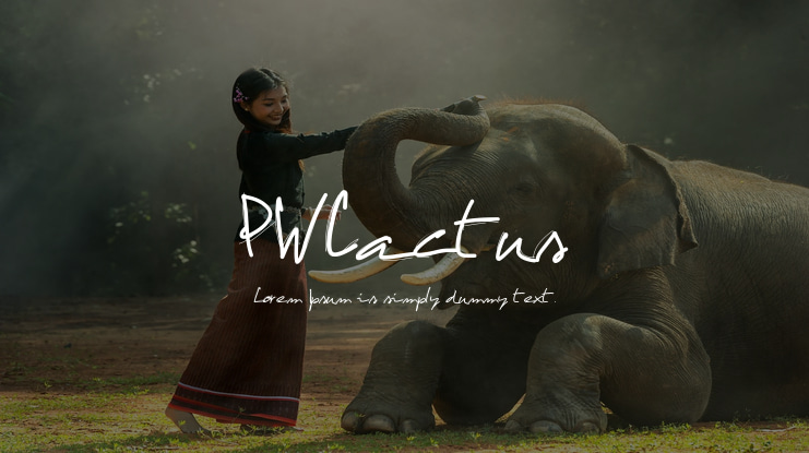 PWCactus Font