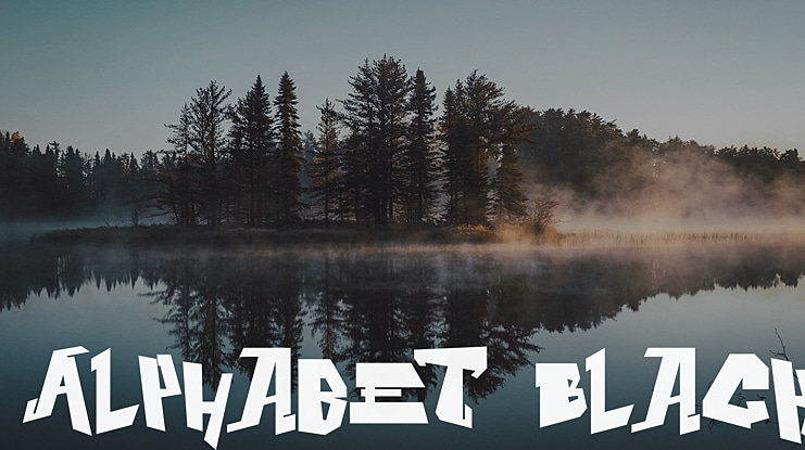 Alphabet Black Font Family