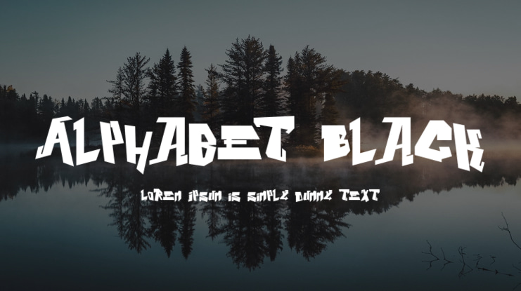 Alphabet Black Font Family