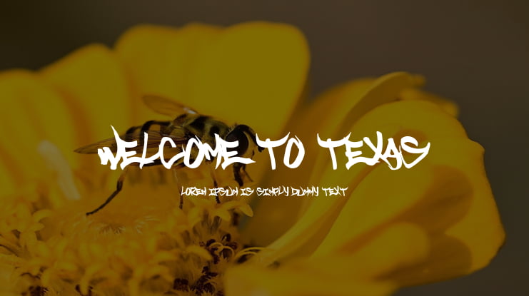 Welcome to Texas Font