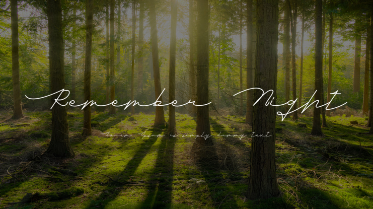 Remember Night Font