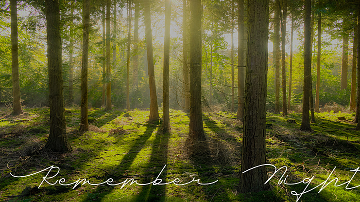 Remember Night Font
