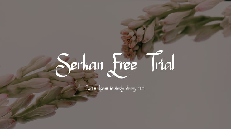 Serkan Free Trial Font