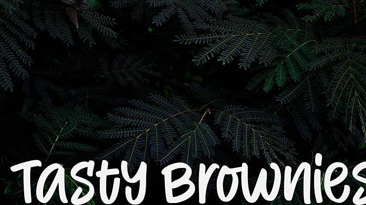 Tasty Brownies Font