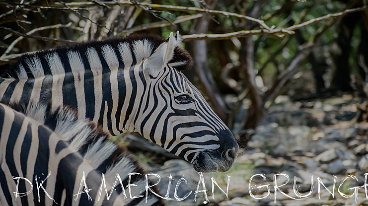 DK American Grunge Font