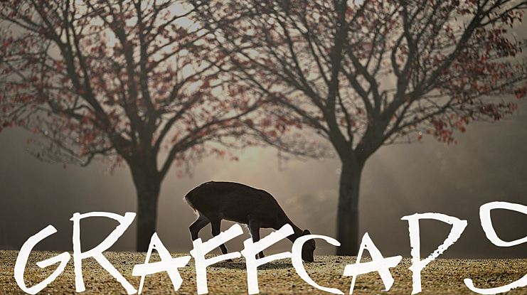 GraffCaps Font