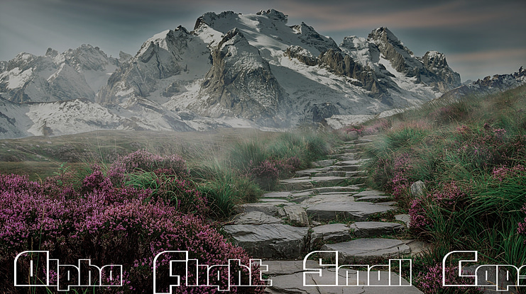 Alpha Flight Font Family