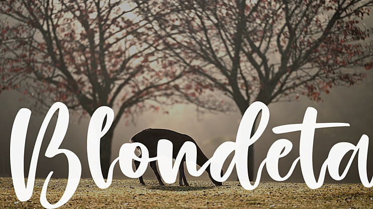 Blondeta Font