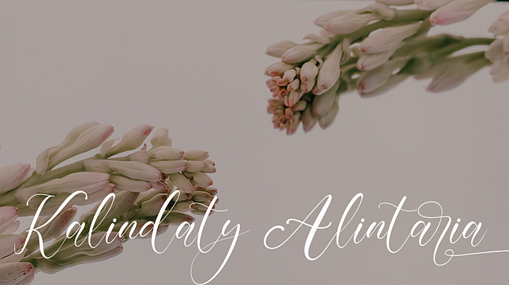 Kalindaty Alintaria Font