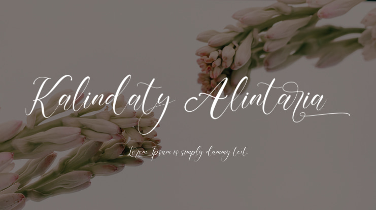Kalindaty Alintaria Font