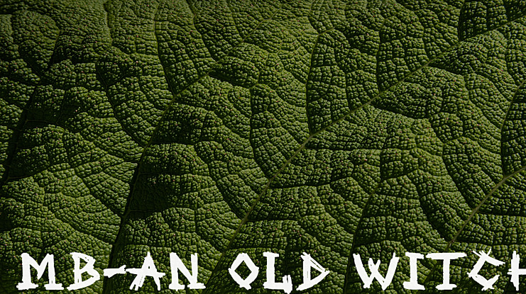 MB-An Old Witch Font