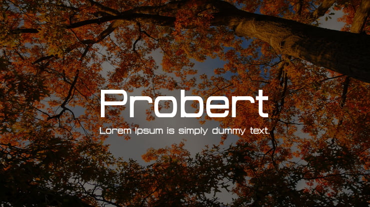 Probert Font