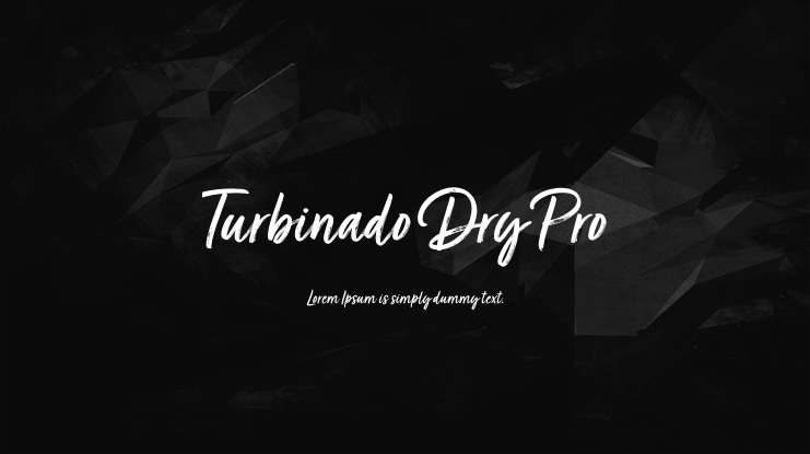 Turbinado Dry Pro Font Family
