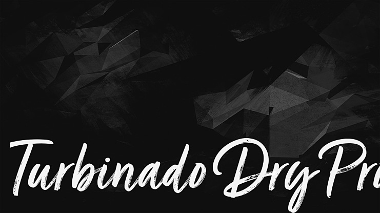 Turbinado Dry Pro Font Family