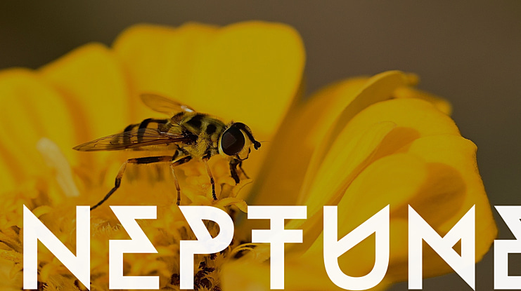 Neptune Font