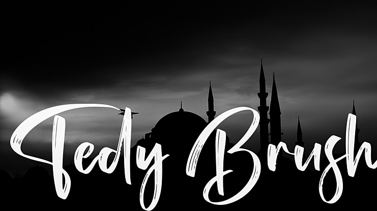 Tedy Brush Font