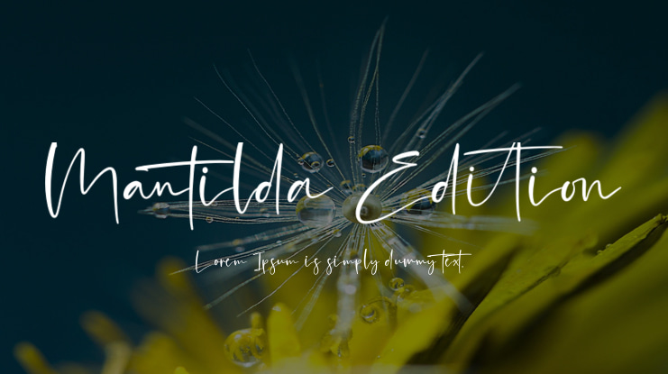 Mantilda Edition Font