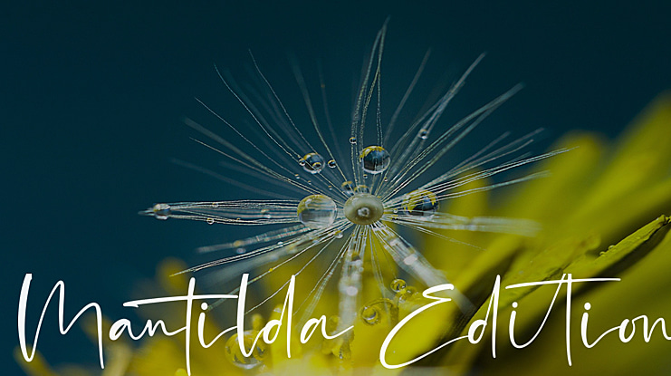 Mantilda Edition Font