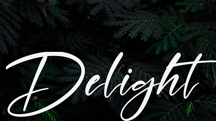 Delight Font