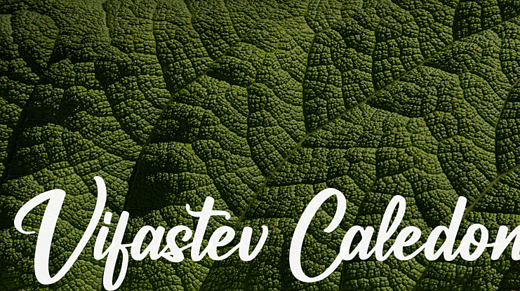 Vifastev Caledon Font