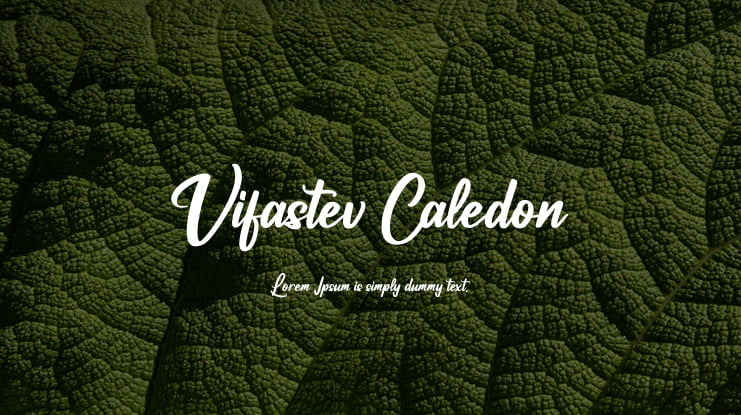 Vifastev Caledon Font