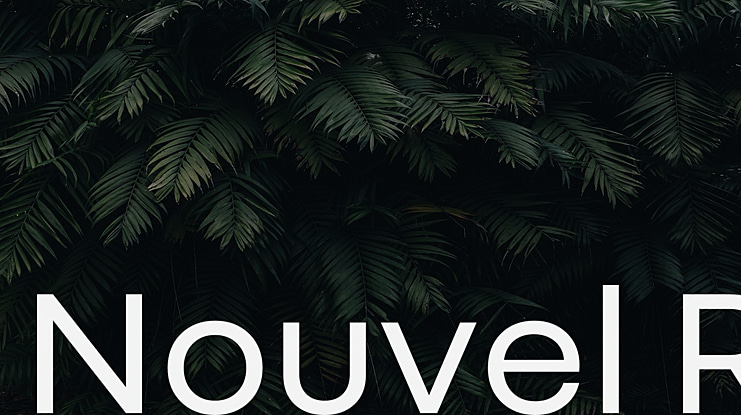 Nouvel R Font