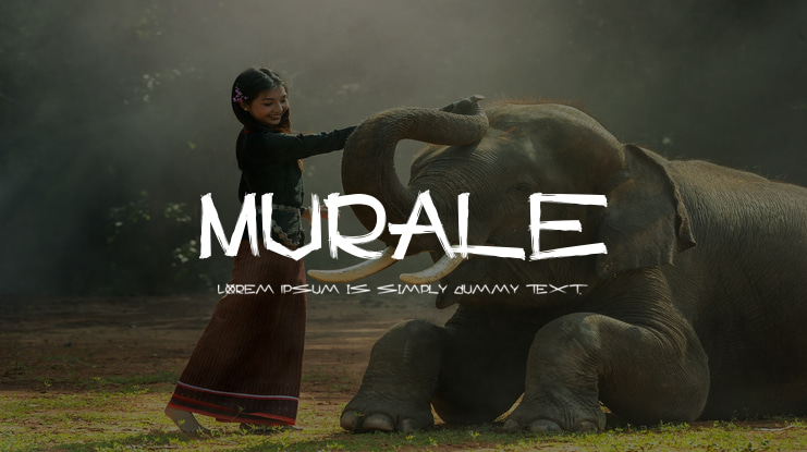 Murale Font