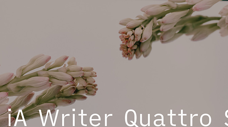 iA Writer Quattro S Font Family