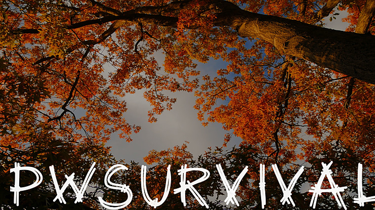 PWSurvival Font