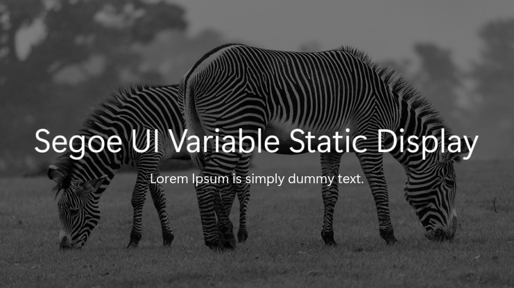 Segoe UI Variable Static Display Font Family