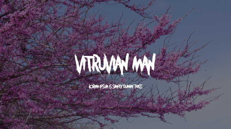 Vitruvian Man Font