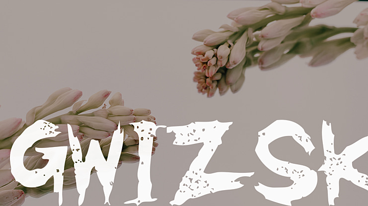 GwizsK Font