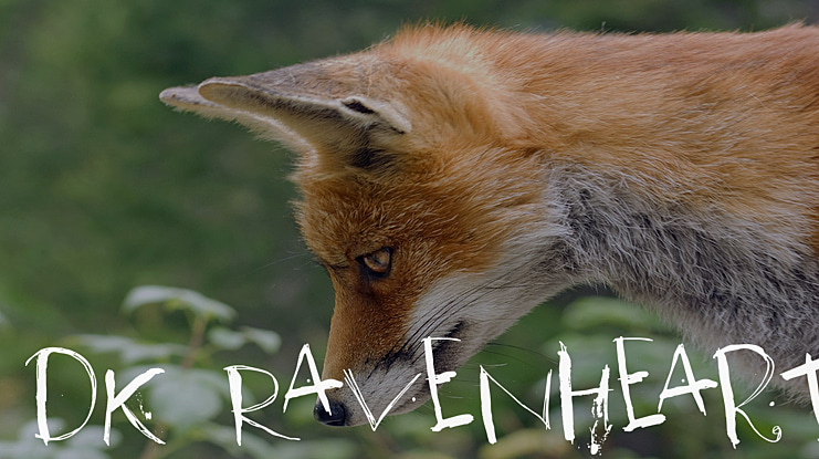 DK Ravenheart Font
