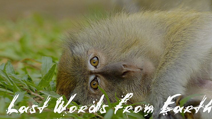 Last Words from Earth Font