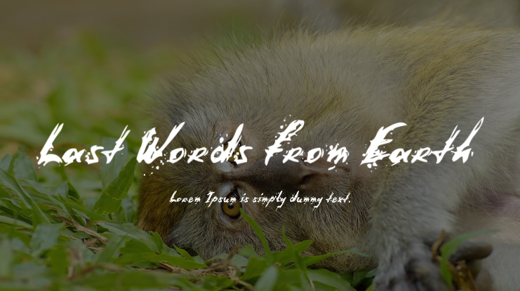 Last Words from Earth Font