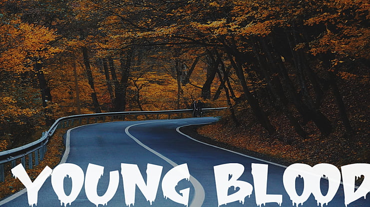 Young Blood Font